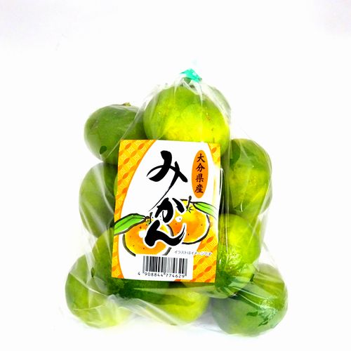啪Y@݂@P