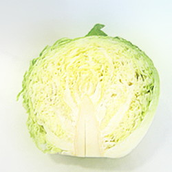 �啪���Y���@�����L���x�c�@�P/�Q�J�b�g