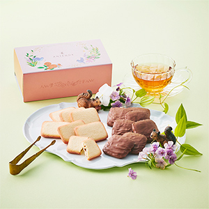 �s�A���e�m�[���t �J�J�I�r�X�L���C�A�\�[�g 14��