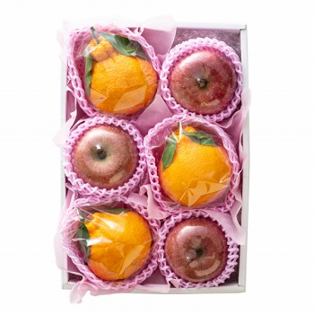 [��B��] �{�̉ʕ��M�t�g 1�� A �y���͂����ԁF12�����{�`1�����{�܂Łz