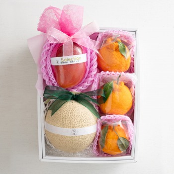 [��B��] ���n�}���S�[�E�������E�f�R�|���y���͂����ԁF4�����{�܂Łz