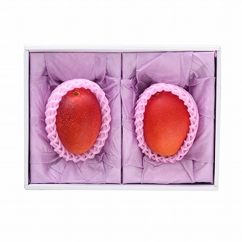 [��B��] �{��Y ���n�}���S�[ 2L  (2�ʓ�)