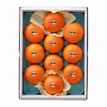 [���c�t���[�c] �Õ� ���Q���Y