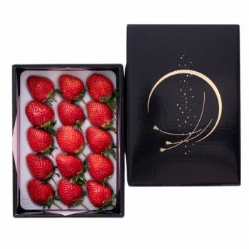 [���c�t���[�c] ��ӂ��Ƃ� (12�`15����)