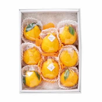 [��B��] �{�̉ʕ��M�t�g �f�R�|�� �y���͂����ԁF12�����{�`1�����{�܂Łz