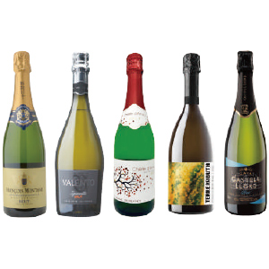 [���C���V���b�v�j�R��] �t�����X�E�C�^���A�E�X�y�C�����V �X�p�[�N�����O5�{�Z�b�g