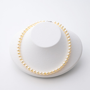 y2026z [I[n^p[] AR^ lbNX(10-A)