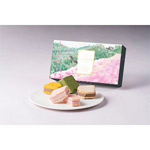 [�S�f�B�o] �T�u���V���R�� �� �A�\�[�g�����g 5��