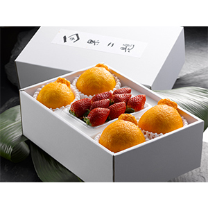 nEXfR|Ə{(1P) (W-27)y͂ԁF12{`z	