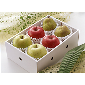 t[cAJg(2ށAtX) (W-29)y͂ԁF11`12{z