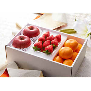 ~FO(ьA1oƖI) (W-95)y͂ԁF12{`z