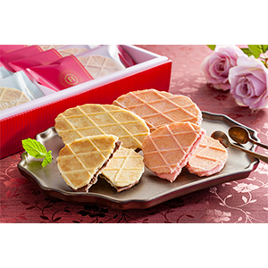 �y�o�����^�C����p�z ������� �� ���W�F �G�M���X�L���[�� �`���R���[�g���b�t���T���h(YJ-CW)