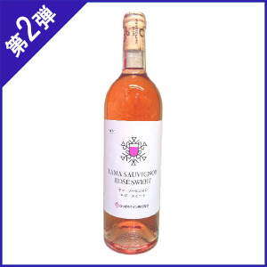 y2ez [kCYW] ۂ냏C }\[rjIE[XC[gMV