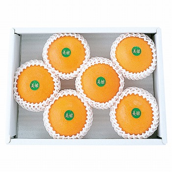 杵築産 美娘(みこ) (MK-30)【お届け期間：12月上旬～】: ギフト