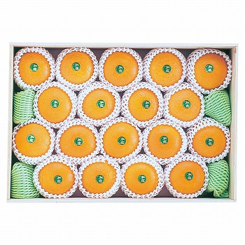 杵築産 美娘(みこ) (MK-100)【お届け期間：12月上旬～】: ギフト