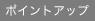 ポイントアップ