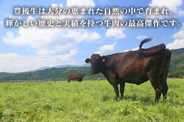 豊後牛は大分の恵まれた自然の中で育まれ、輝かしい歴史と実績を持つ牛肉の最高傑作です。