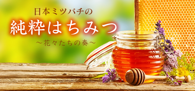 日本ミツバチの純粋はちみつ: ネットデパート｜トキハオンラインショップ