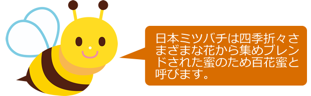 日本ミツバチの純粋はちみつ ネットデパート トキハオンラインショップ
