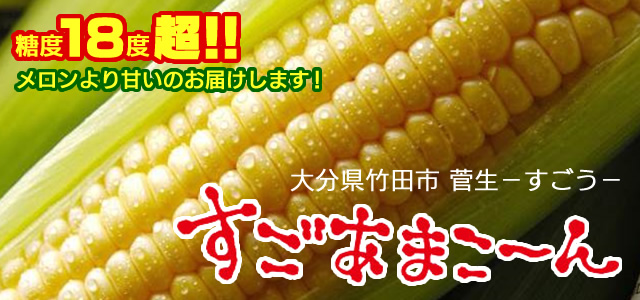 糖度18度を超えるスイートコーン「すごあまこーん 」｜トキハ