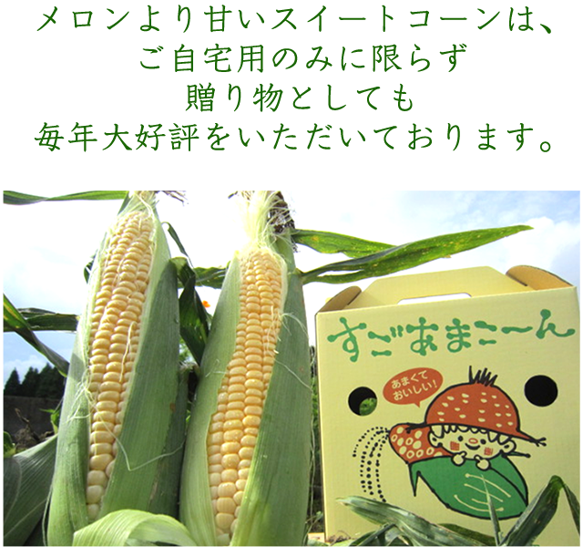 糖度18度を超えるスイートコーン すごあまこーん トキハオンラインショップ
