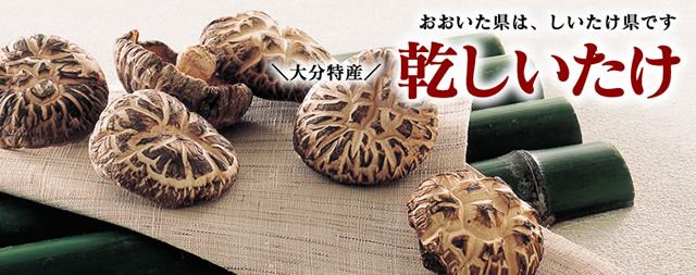 品質、生産量ともに日本一！大分の干し椎茸｜トキハオンラインショップ