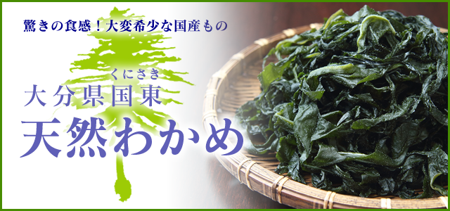 驚きの食感！希少な国産「天然生わかめ」｜トキハオンラインショップ