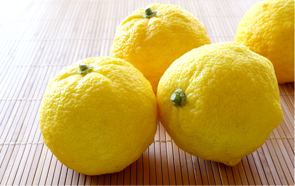 大分県特産品 柚子こしょう特集｜トキハオンラインショップ