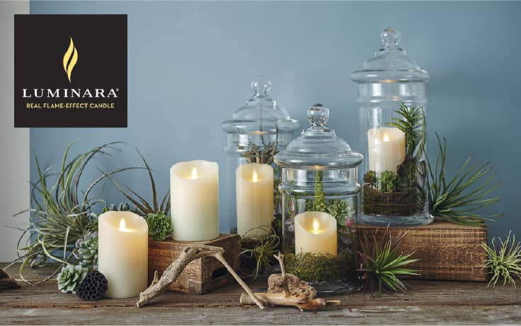 �{���̉��̂悤��LED�L�����h��