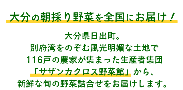 大分の朝採り野菜を全国にお届け!大分県日出町。別府湾をのぞむ風光明媚な土地で116戸の農家が集まった生産者集団「サザンカクロス野菜館」から、新鮮な旬の野菜詰合せをお届けします。