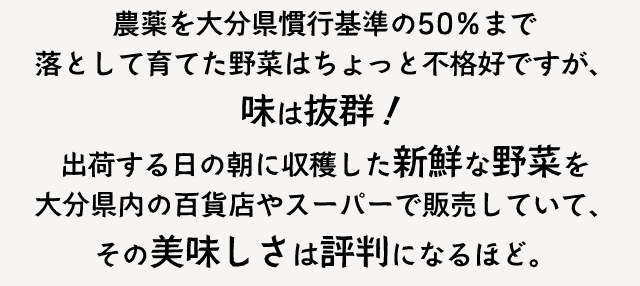 農薬を大分県慣行基準の50%まで落として育てた野菜はちょっと不格好ですが、味は抜群!出荷する日の朝に収穫した新鮮な野菜を大分県内の百貨店やスーパーで販売していて、その美味しさは評判になるほど。