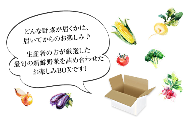 どんな野菜が届くかは、届いてからのお楽しみ♪生産者の方が厳選した最旬の新鮮野菜を詰め合わせたお楽しみBOXです!