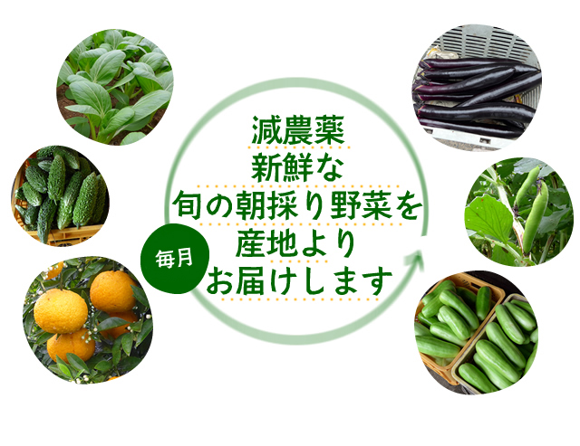 減農薬新鮮な旬の朝採り野菜を産地より毎月15日にお届けします