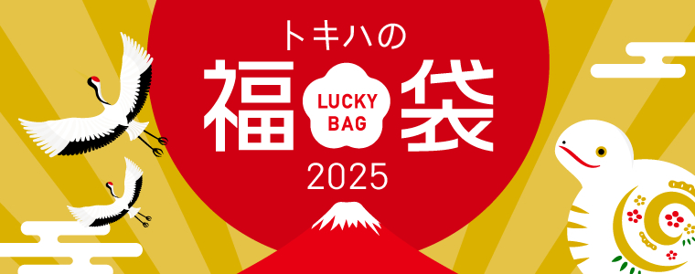 2024gLn̕